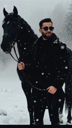 Kar şablonu 