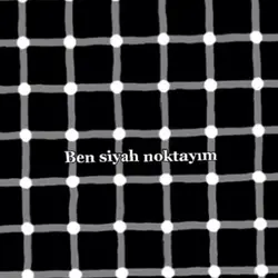 Siyah nokta
