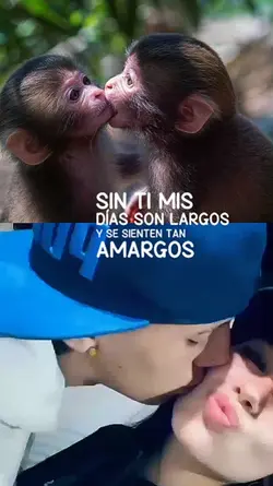 Días Largos