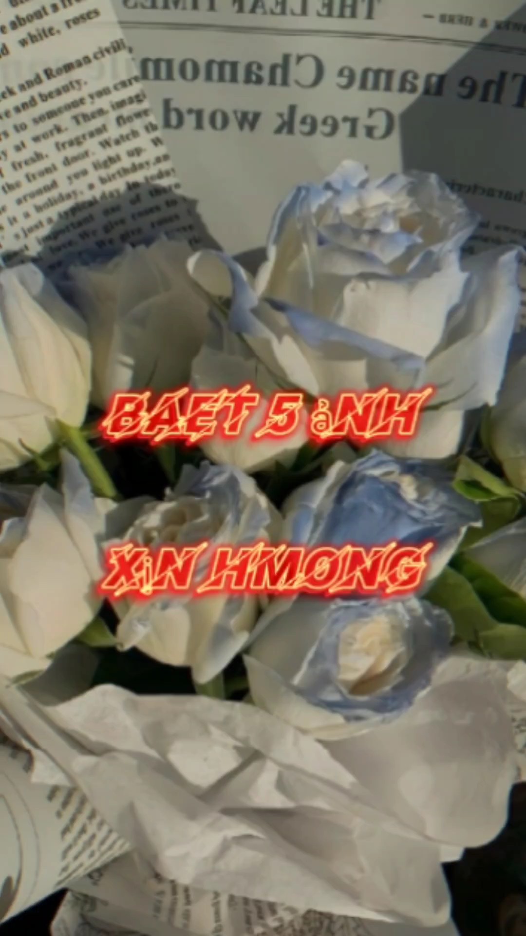 Dag Ntub Hlub 5 ảnh