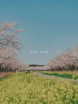 Moonlight Is Setting