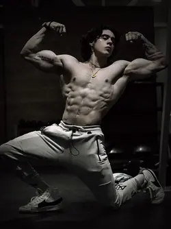 aesthetic muscle