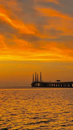 Filter senja