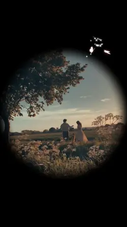 can this love be tra