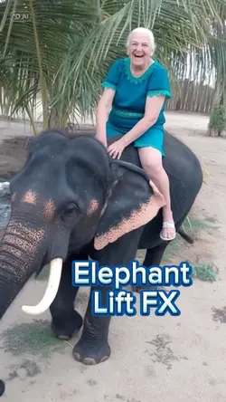 Elephant Lift FX