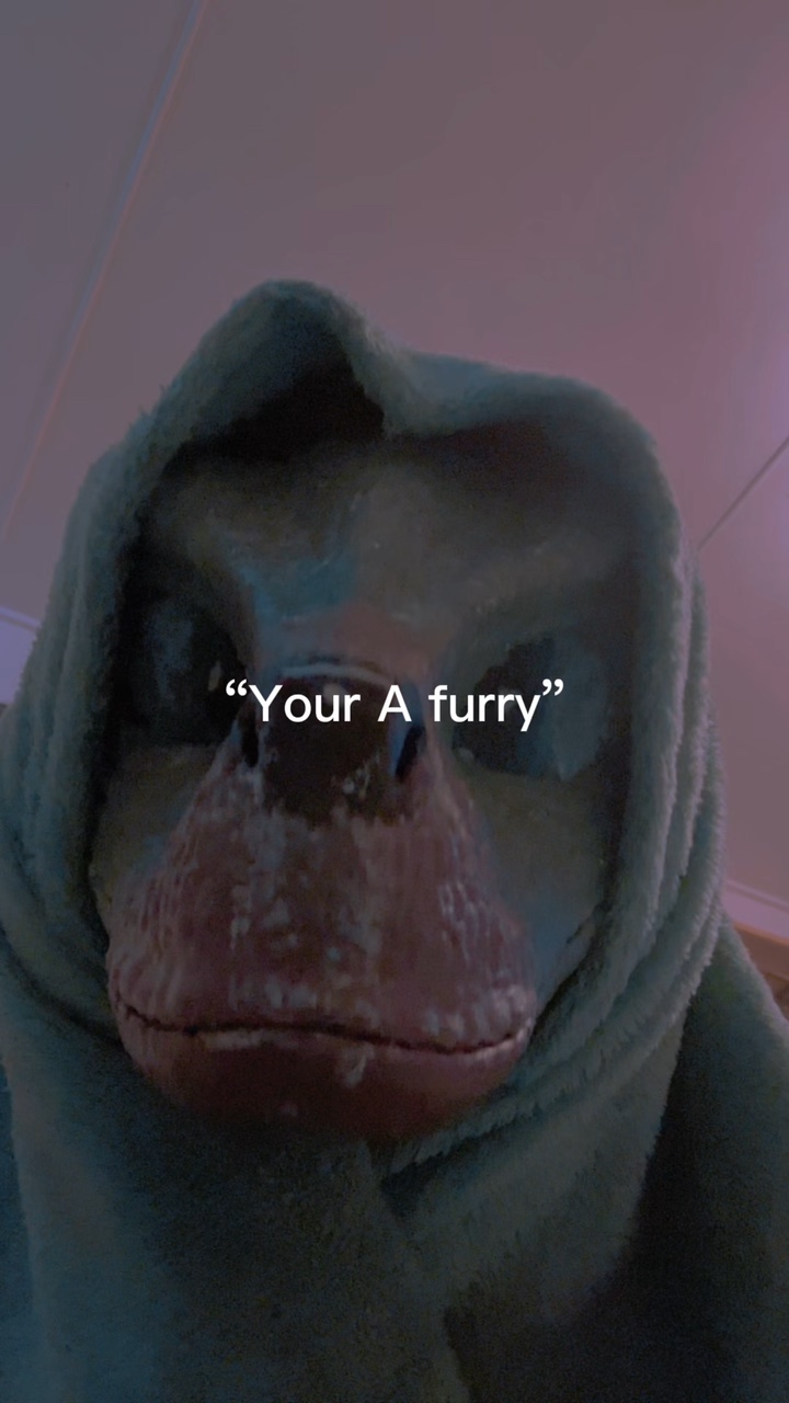 “Your a furry?”