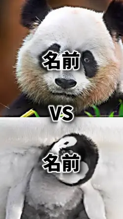 強さ比べ7項目