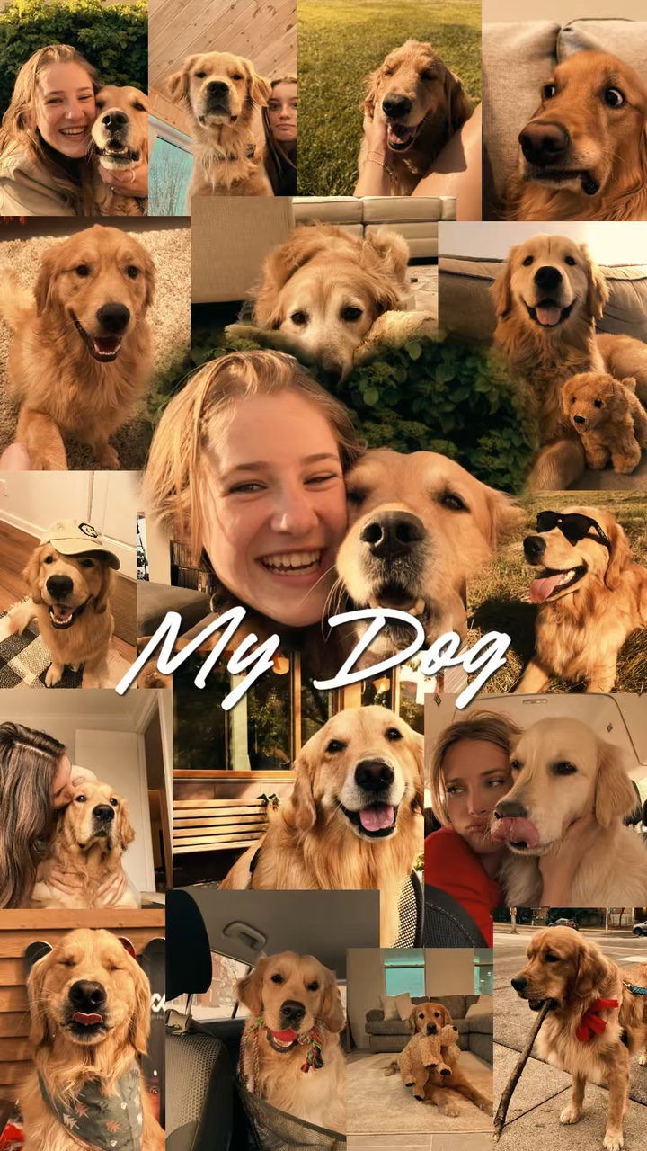 My Dog 