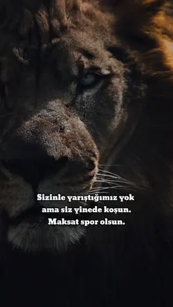 Sizinle yarışmıyoruz