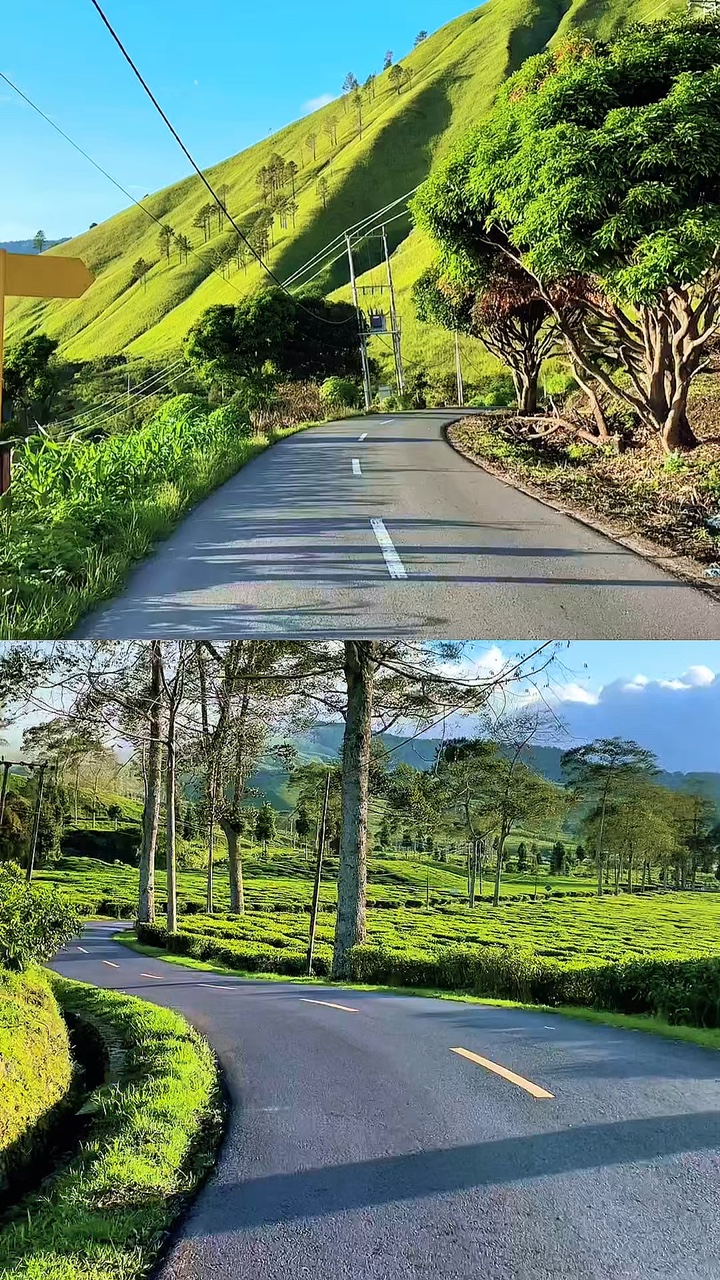 2 video collage 