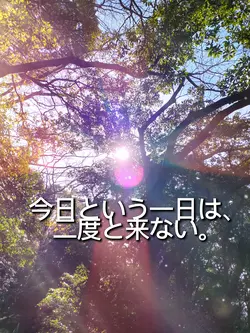 今日という日を大切に
（写真1枚）