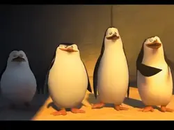 penguins gold