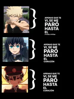mis esposos