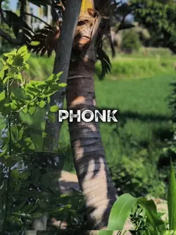PHONK