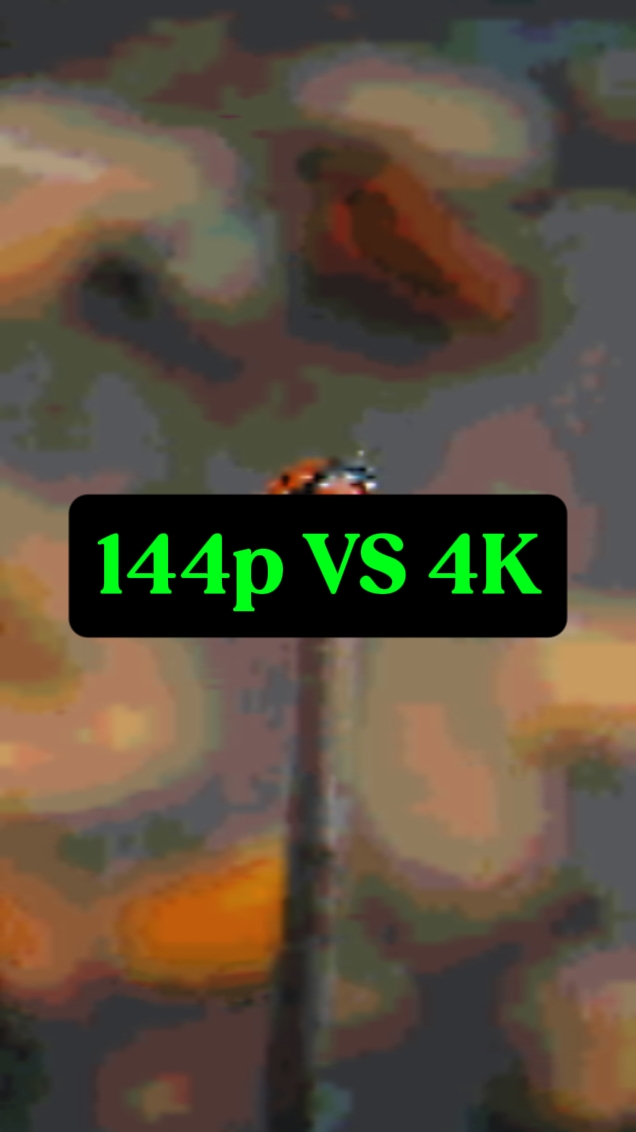144p vs 4k edit