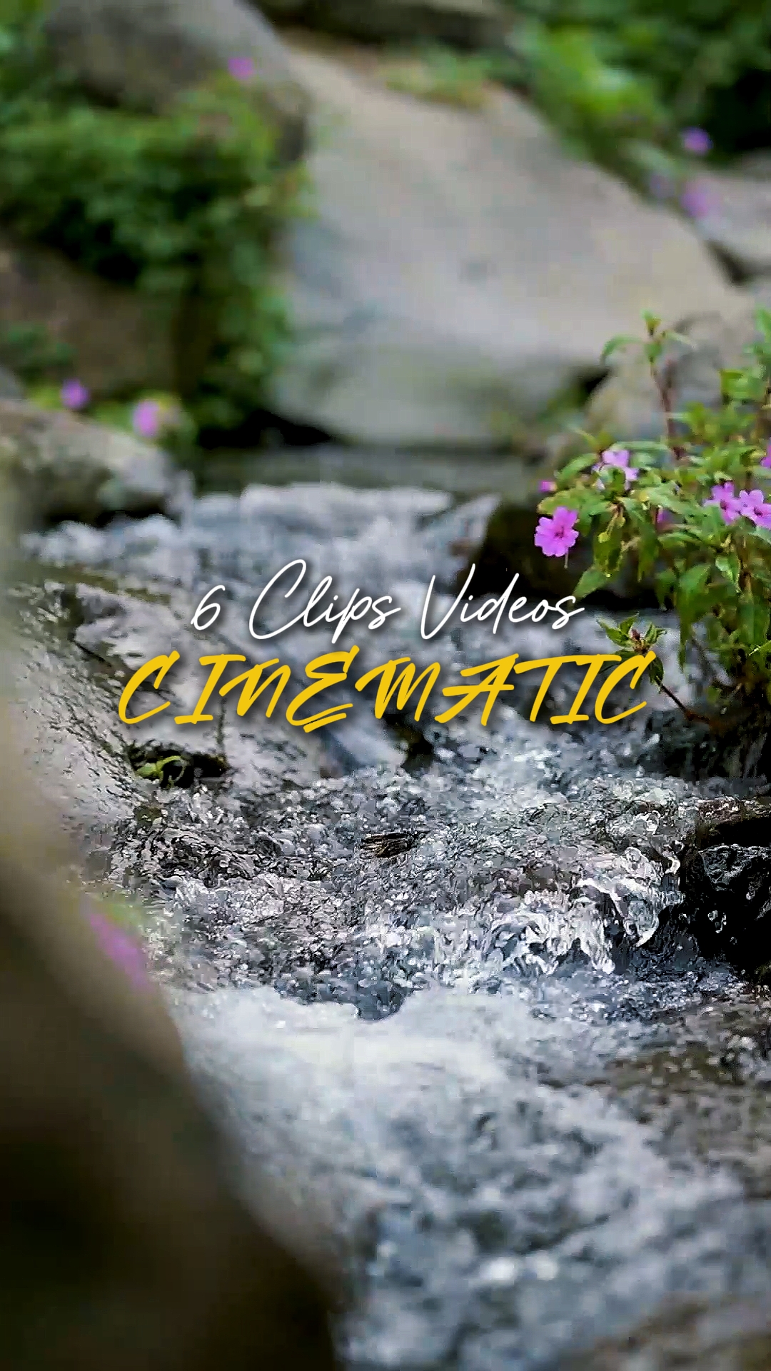6 Videos Cinemáticos