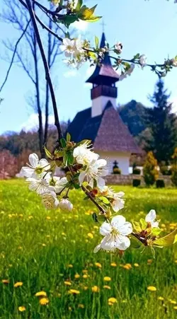 Duminică binecuvânta