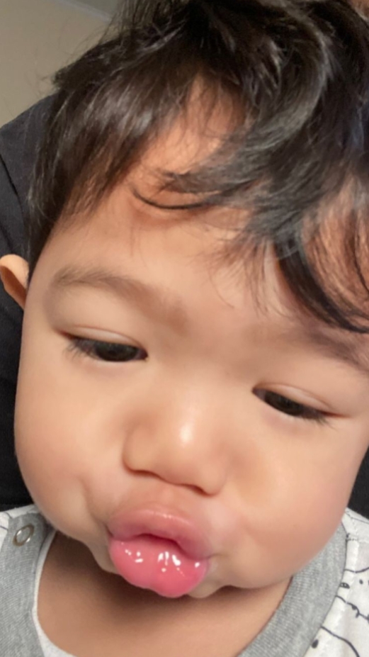 dino viral tiktok 