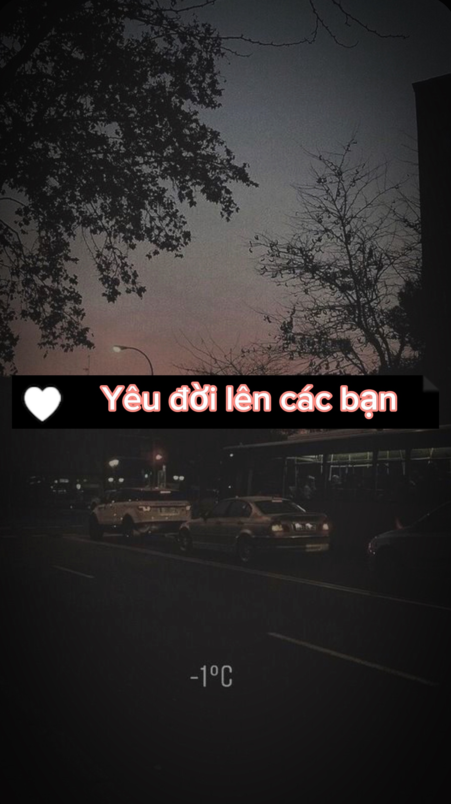 1 ảnh động lực + màu