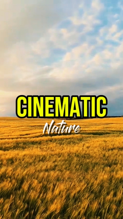 Cinematic