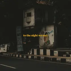 to the night we met
