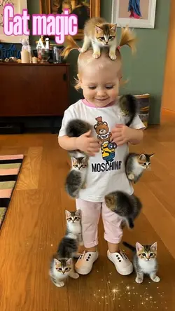 Cat magic