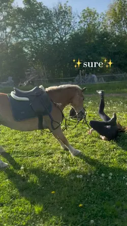 Horse fall 😭✨