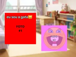 Gata velha e nova