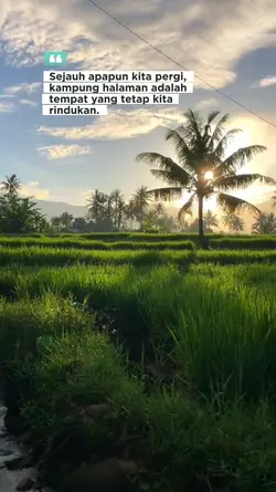 Kampung halaman