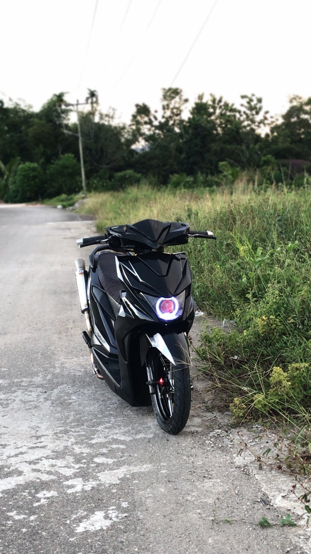 Cover Picture