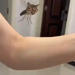 猫 おもしろ