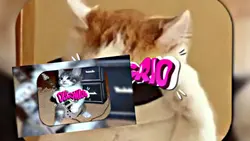 STYLE AM SMOOTH 16:9