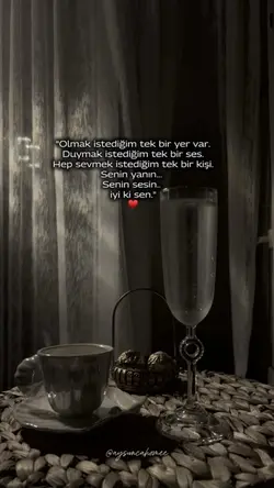 @aysuncahomee