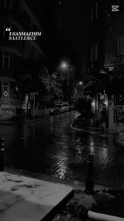 Engin nurşani 