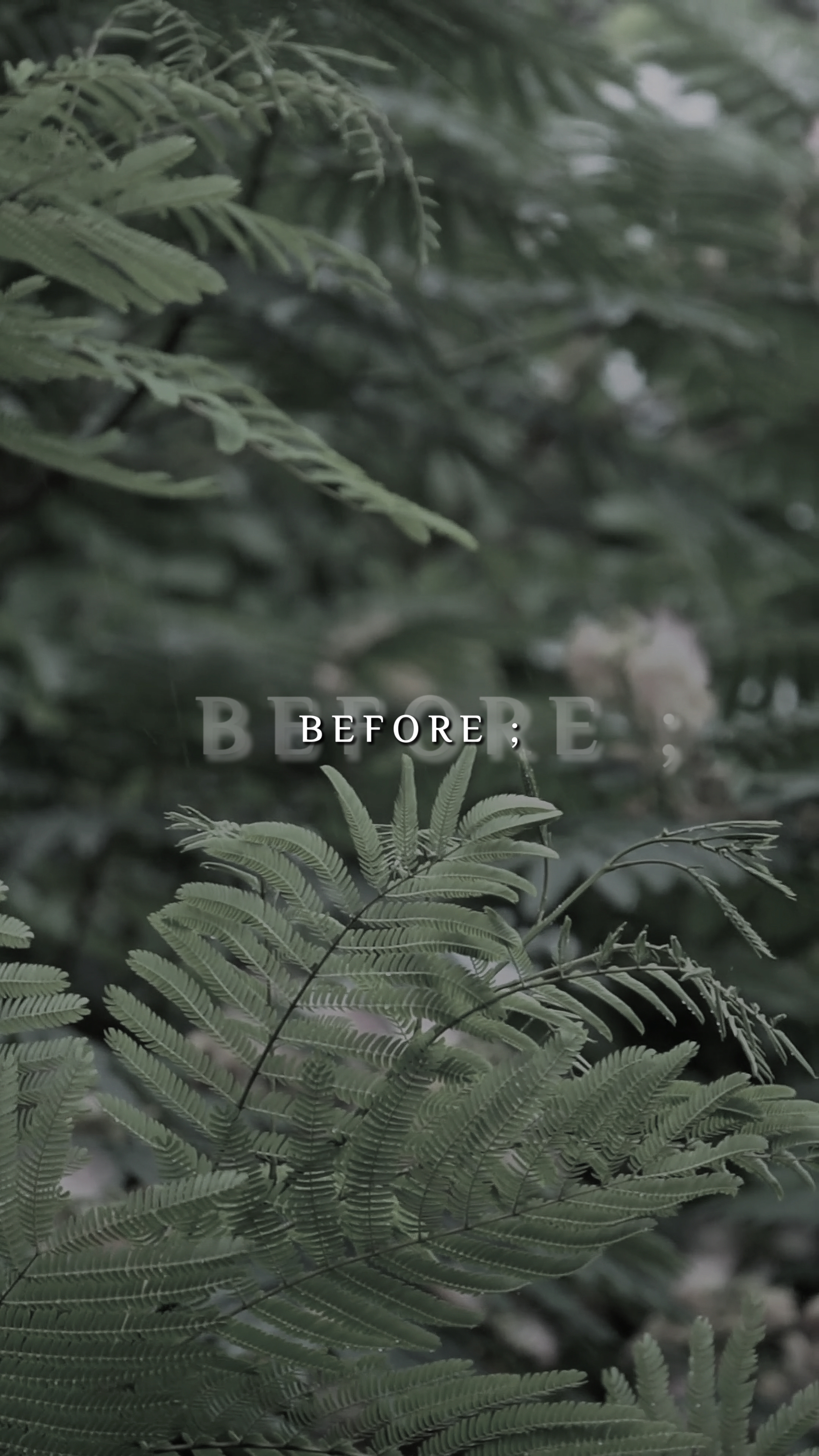 Before Vs After