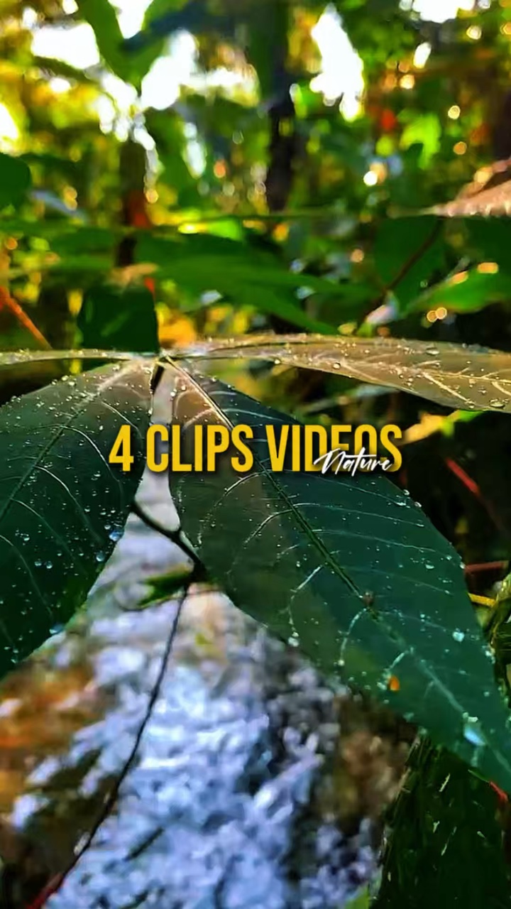 4 Vídeos Natureza