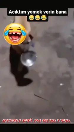 yemek verin acıktım