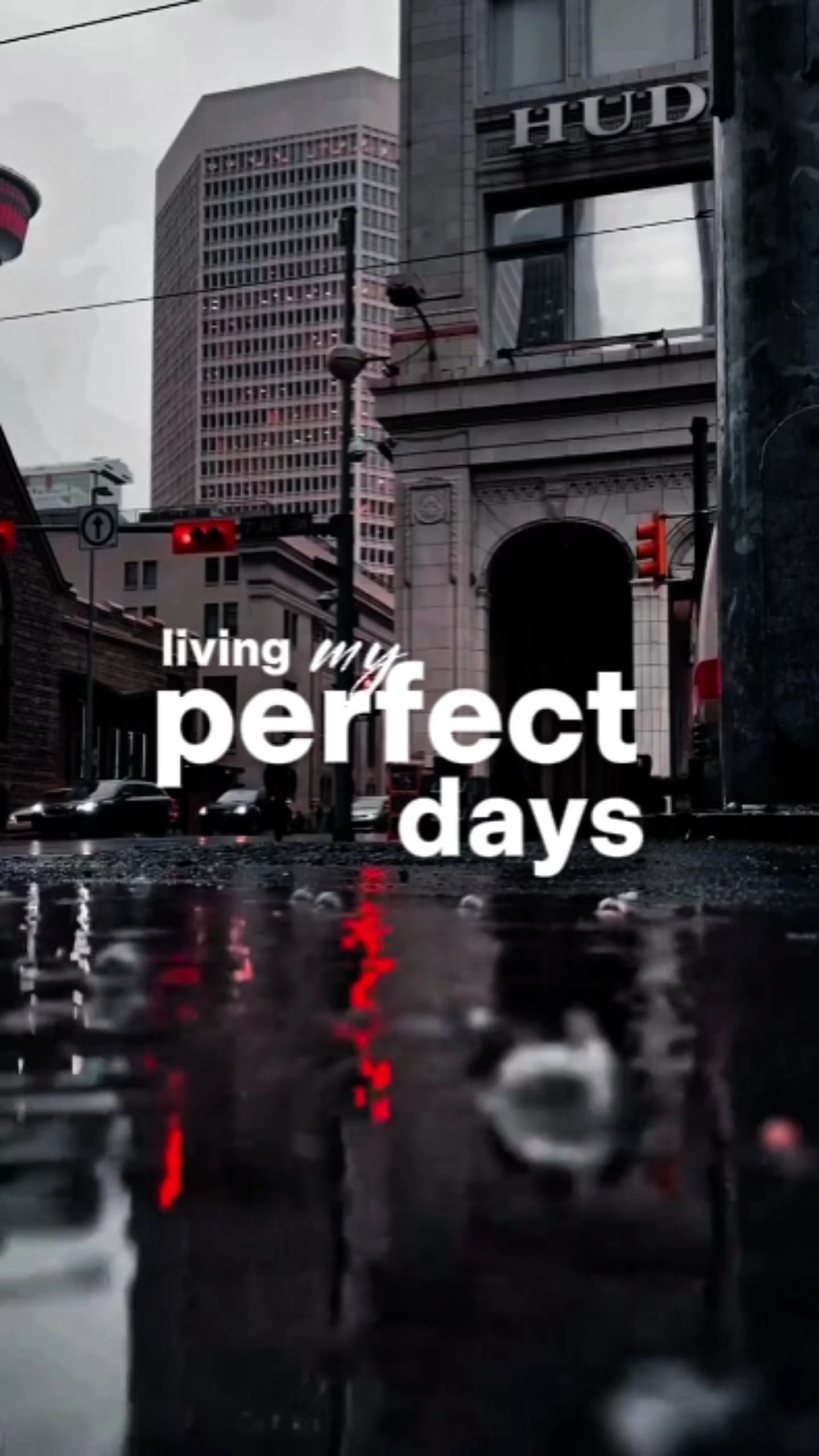 DAILY CINEMA 