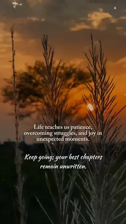 Unwritten Chapters
