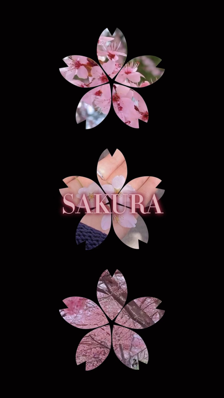 春🌸SAKURA