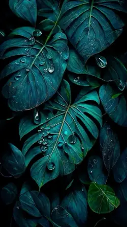 Books Remember Their