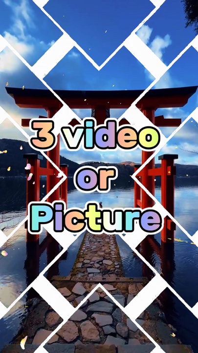 3 video or picture 