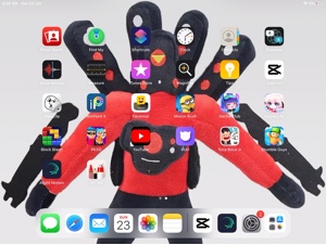 Cover Picture