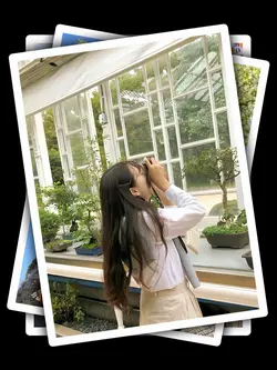 9Pic Clip Transition