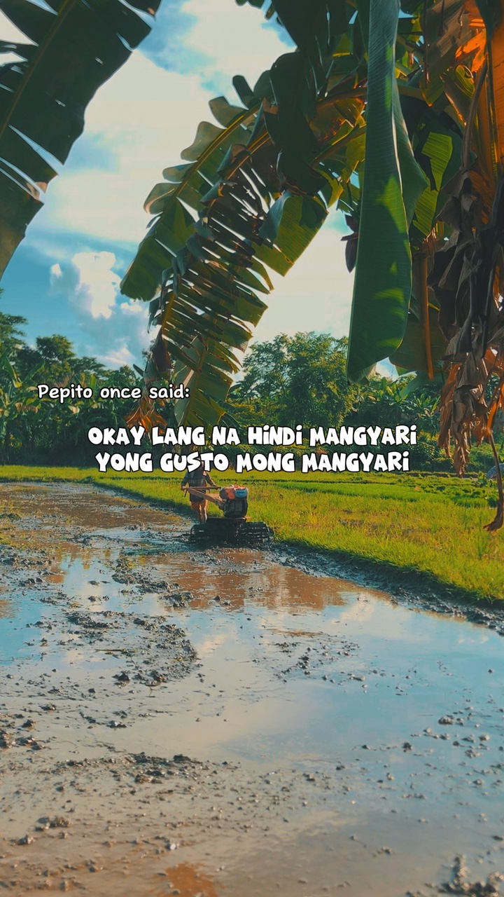 Pepito once said:
