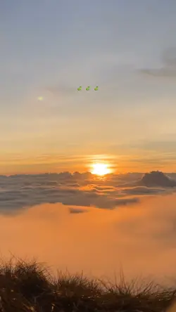sea of clouds
