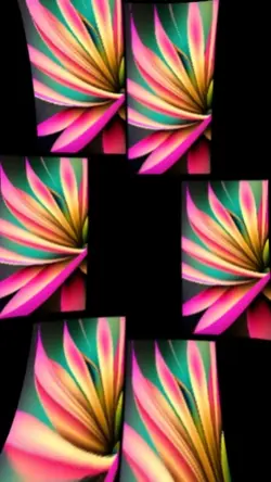 Coloré 3D