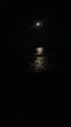 Într-o zi