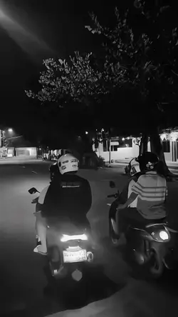 SLWMO DJ KICAU MANIA