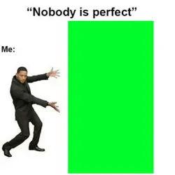 Nobody is perfect